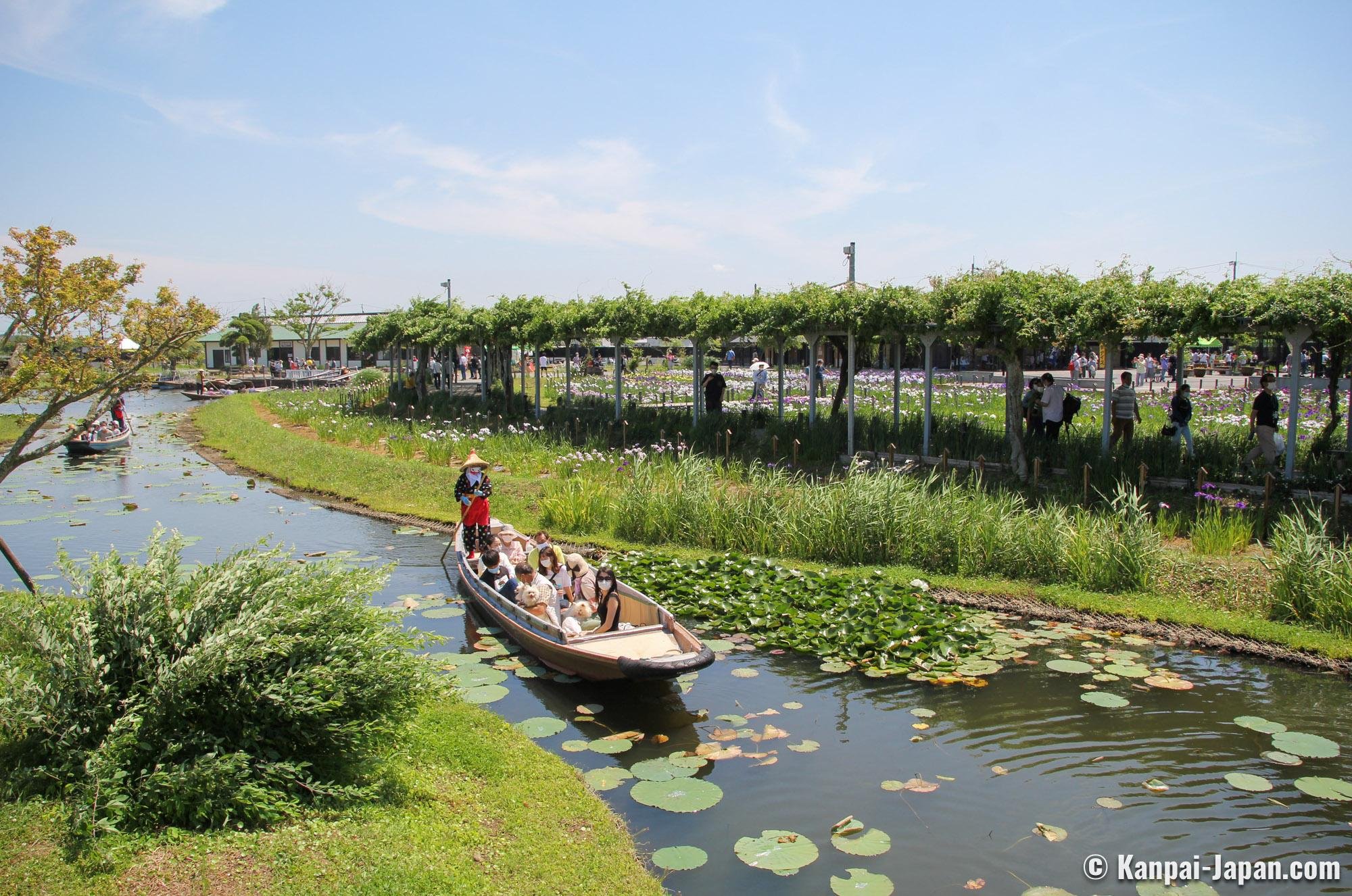 🌸 스이고 사와라 아야메 파크 이미지 9